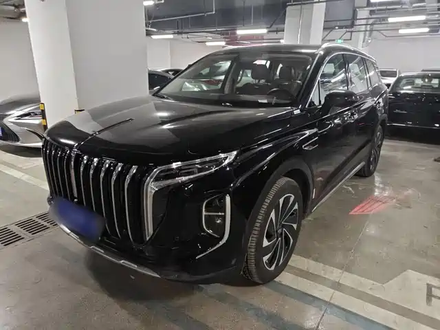 2025 Hongqi HS7