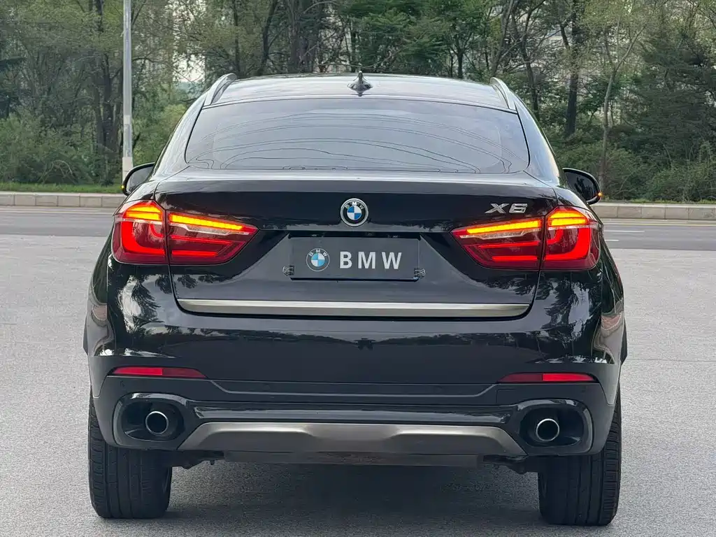 BMW X6 2015 xDrive35i Luxury