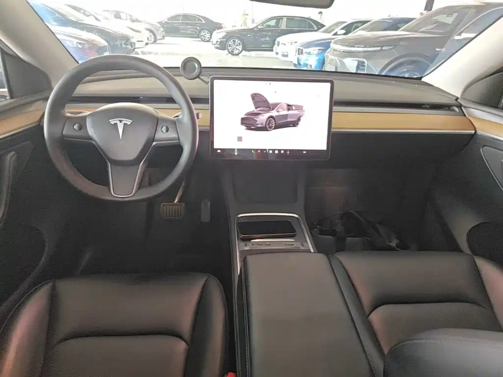 Tesla Model Y — миниатюра 10