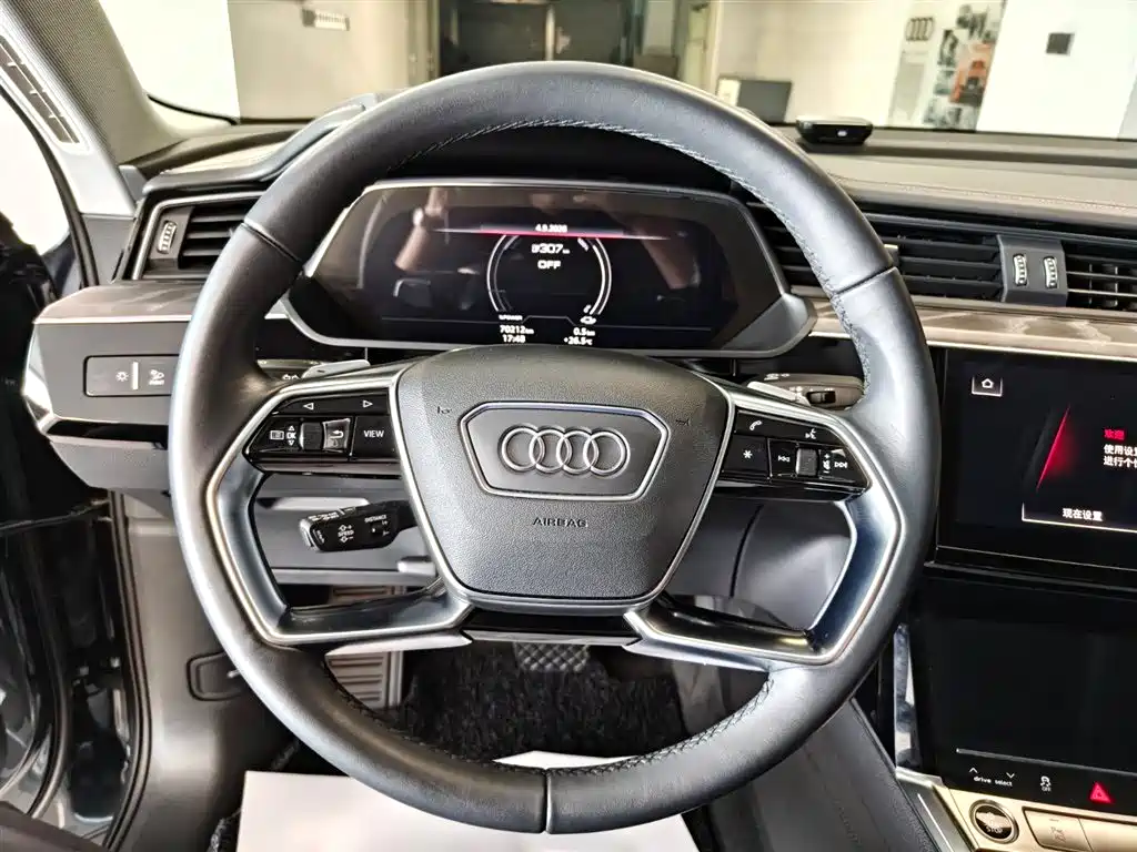 Audi e-tron (Import) — миниатюра 10