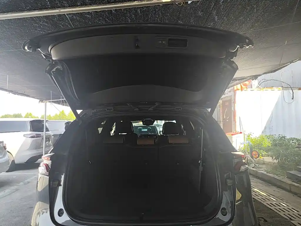 BYD Tang New Energy — миниатюра 19