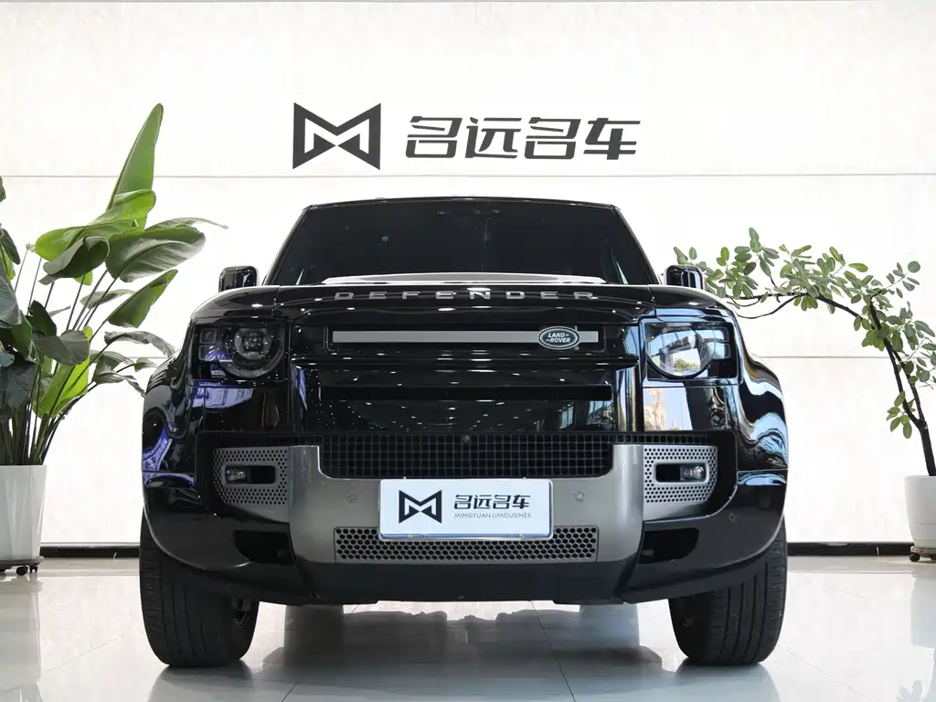 Land Rover Defender — миниатюра 2