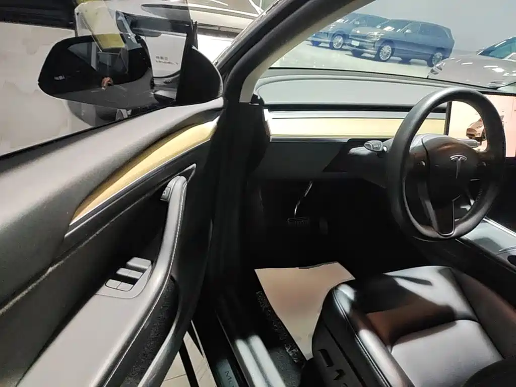 Tesla Model Y — миниатюра 16