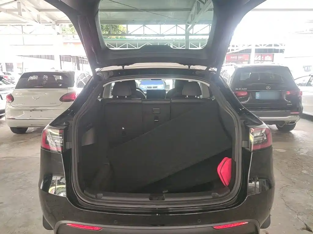 Tesla Model Y — миниатюра 19