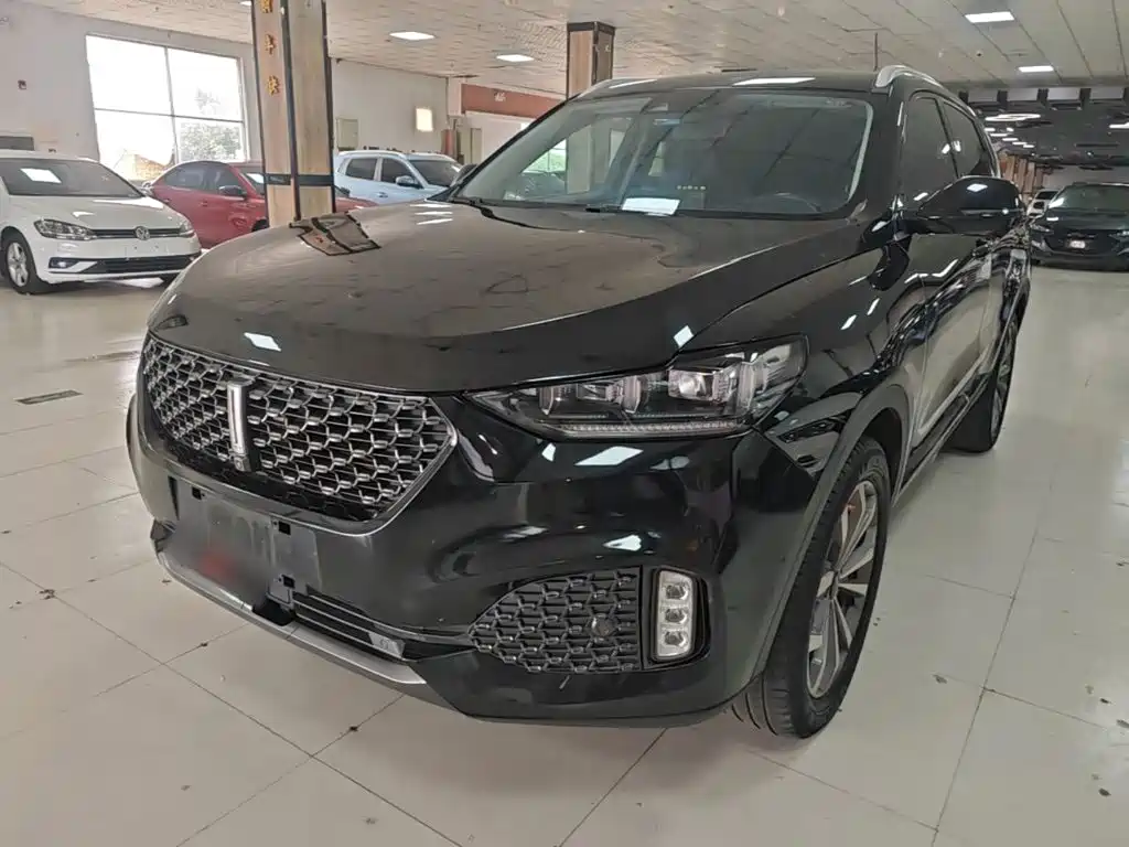 Wey Wey VV6