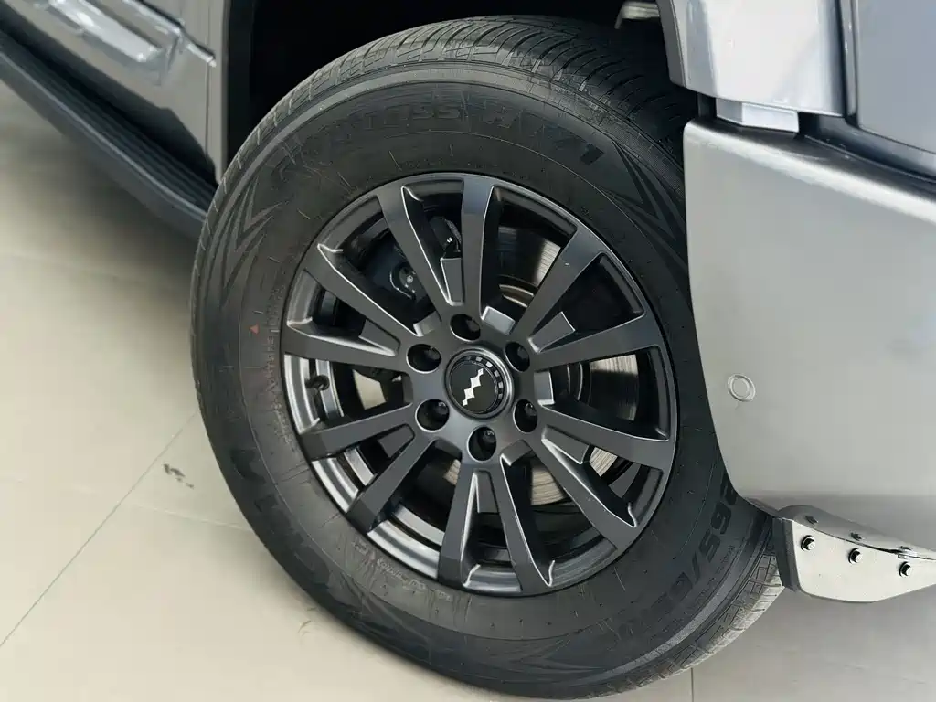 FANG CHENG BAO LEOPARD 5