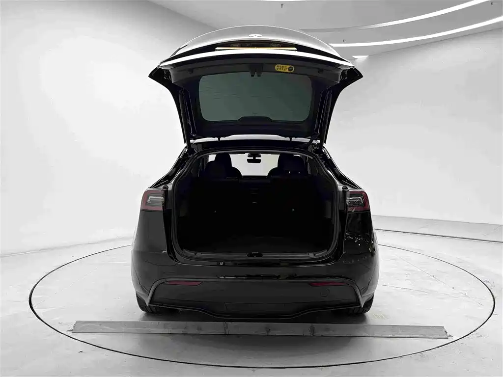 Tesla Model Y — миниатюра 15
