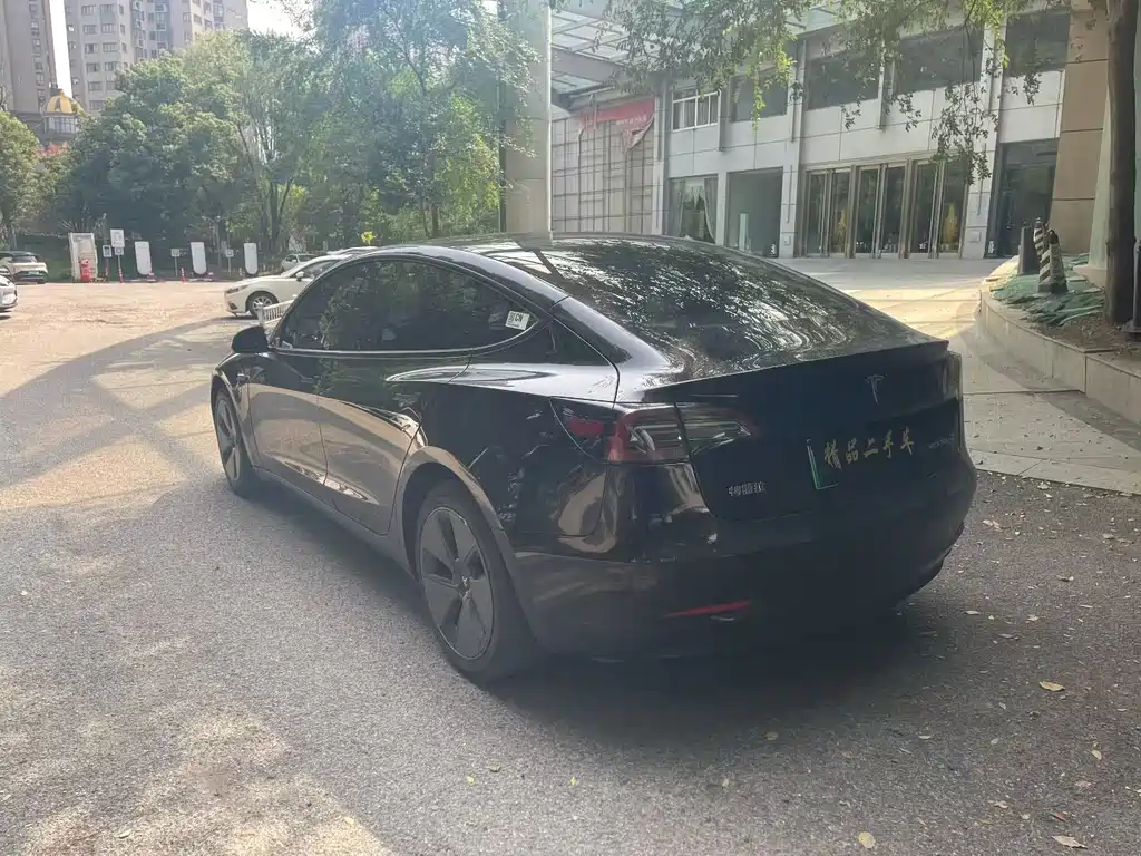 Tesla Model 3 — миниатюра 7