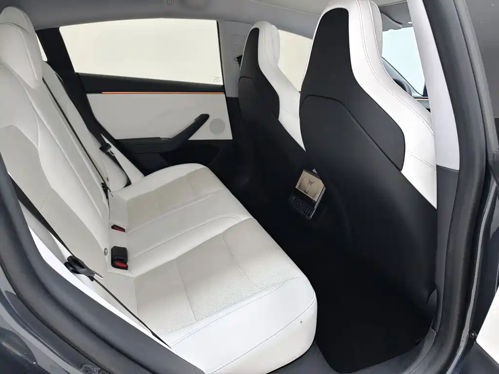 Tesla Model 3 — миниатюра 5