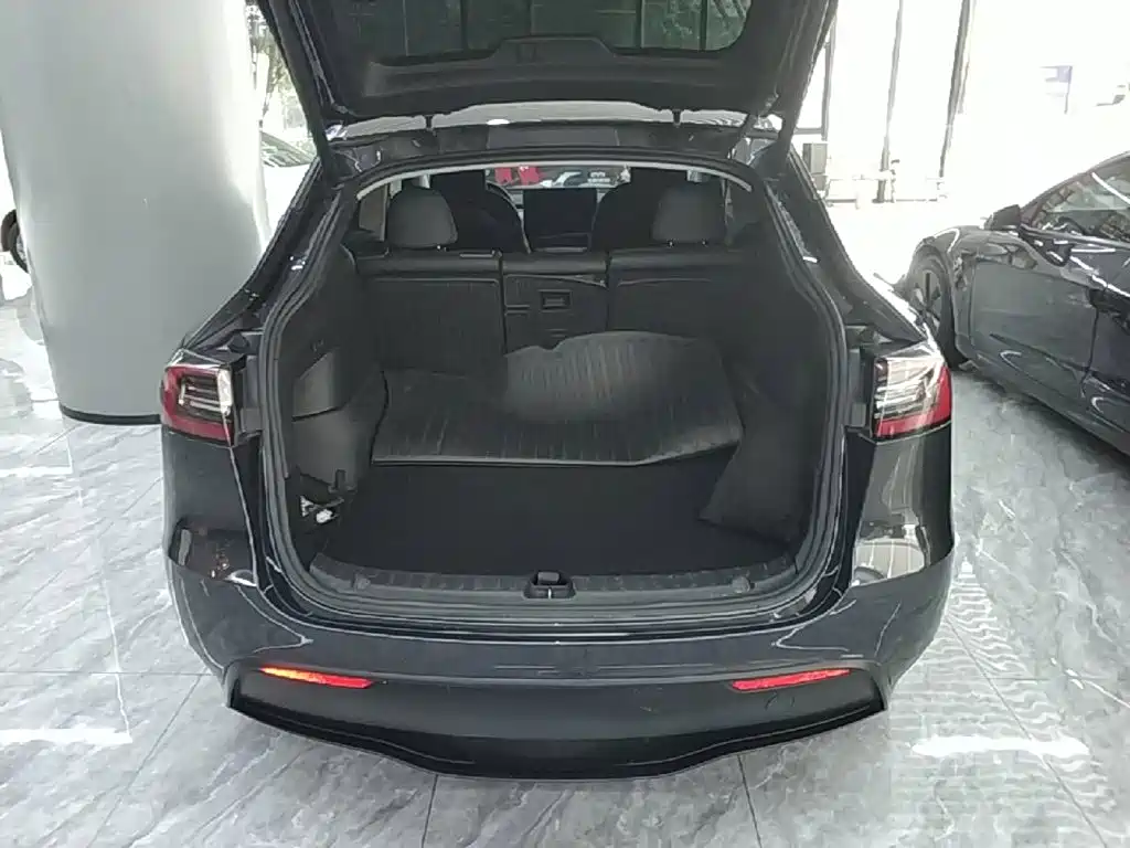 Tesla Model Y — миниатюра 19