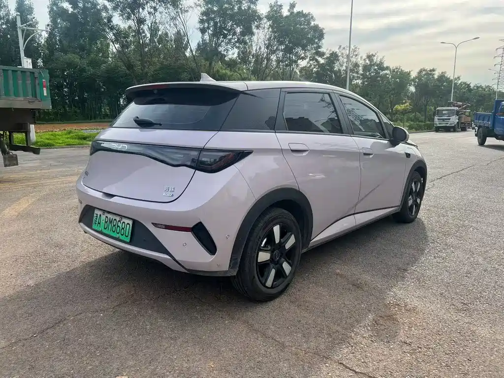BYD Dolphin 2025 Smart Drive 410km Fashion
