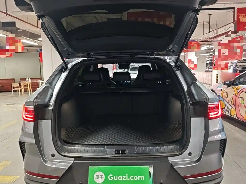 BYD PLUS New Energy — миниатюра 19