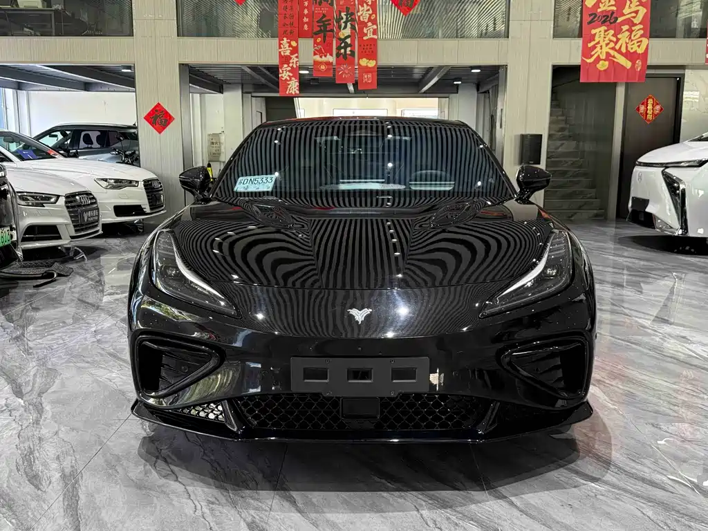 Neta Neta GT — миниатюра 2
