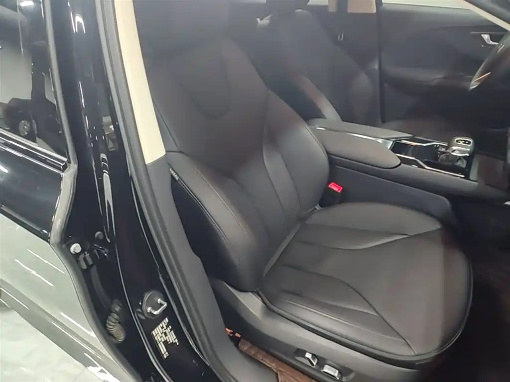 Hongqi Hongqi E-QM5 - фото 25