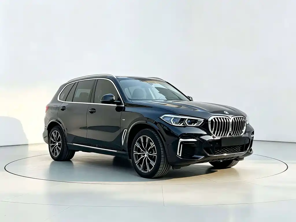 BMW X5 — миниатюра 3