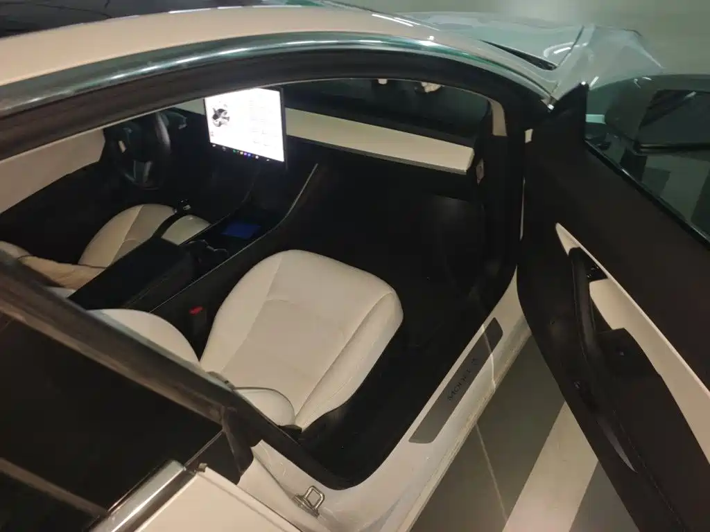 Tesla Model 3 — миниатюра 18