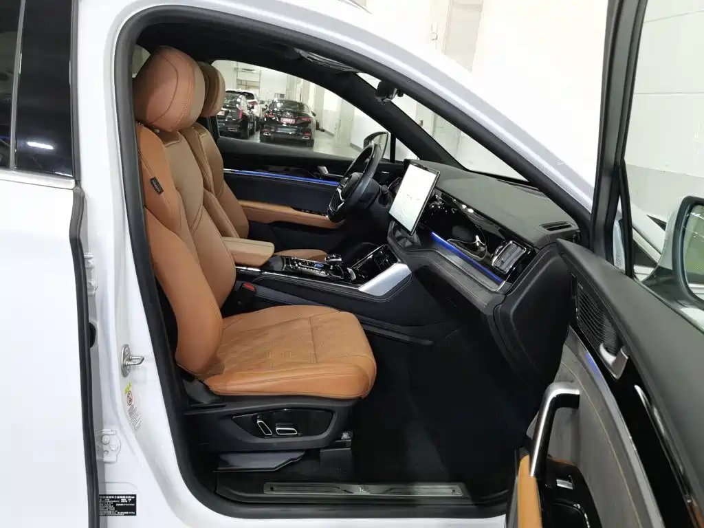 BYD Tang New Energy — миниатюра 23