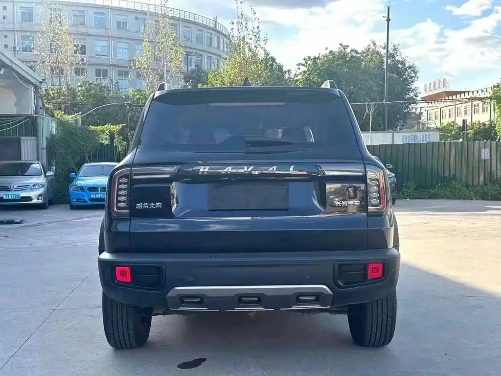 HAVAL BIG DOG