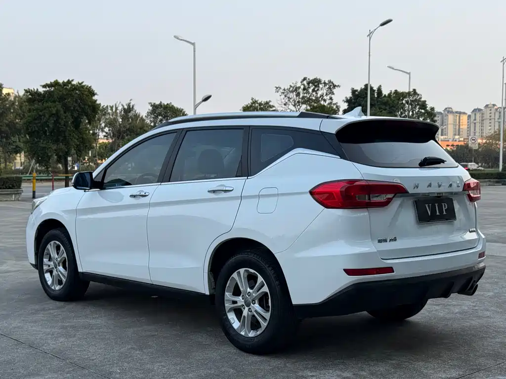 HAVAL M6