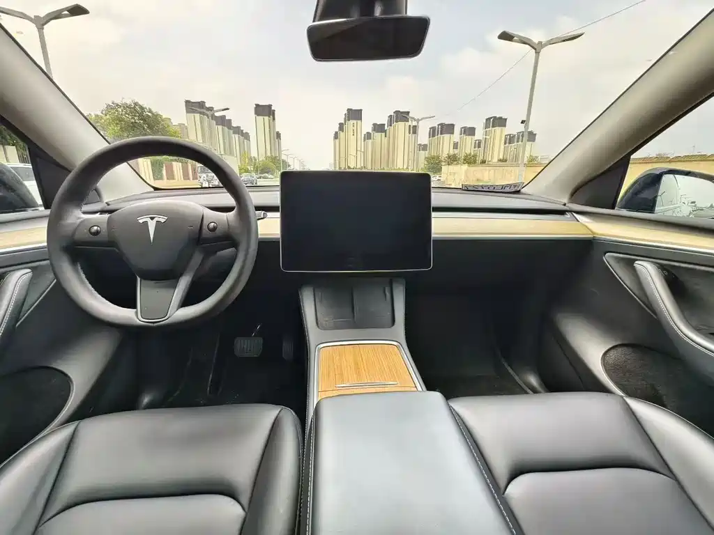 Tesla Model Y — миниатюра 5