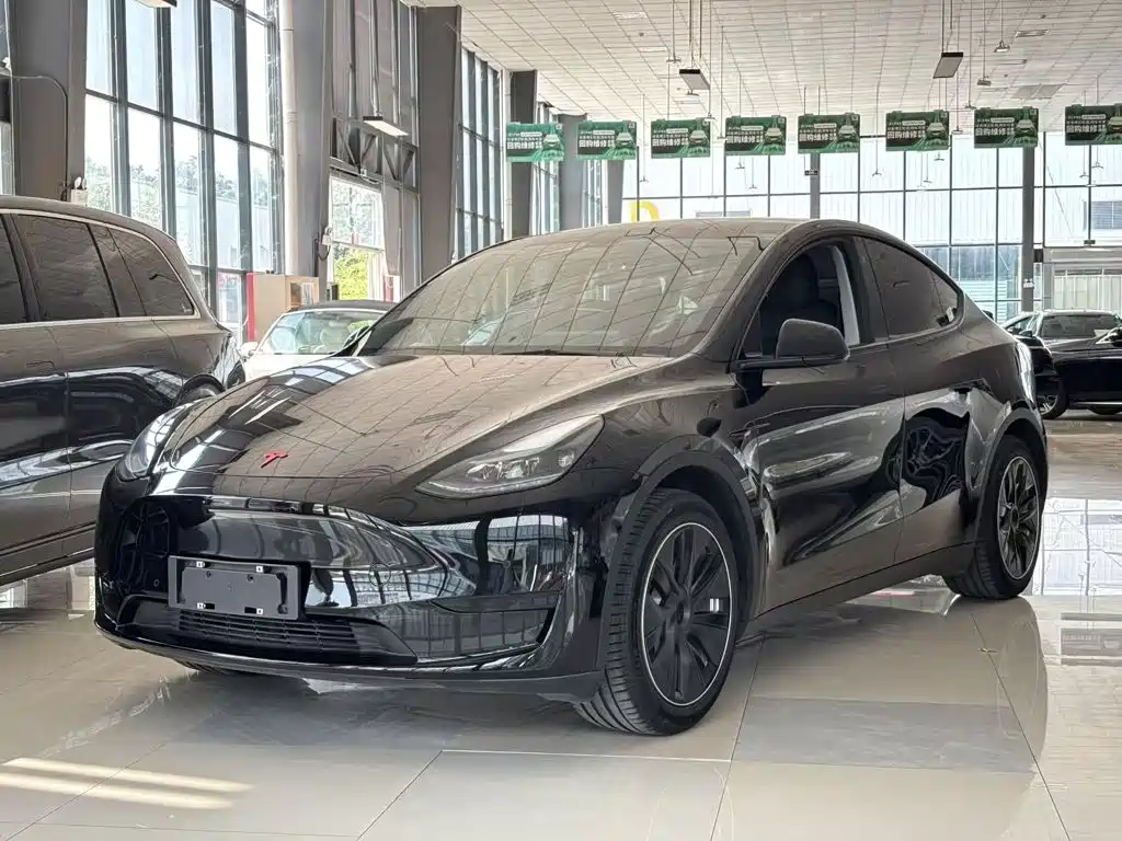Tesla Model Y — миниатюра 2