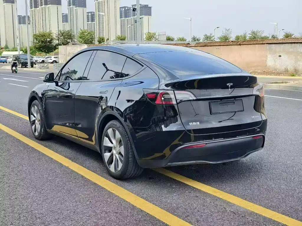 Tesla Model Y — миниатюра 7