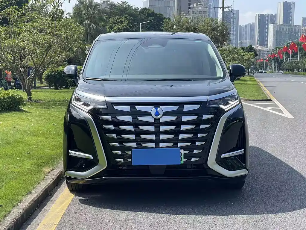 Denza Denza D9 — миниатюра 2