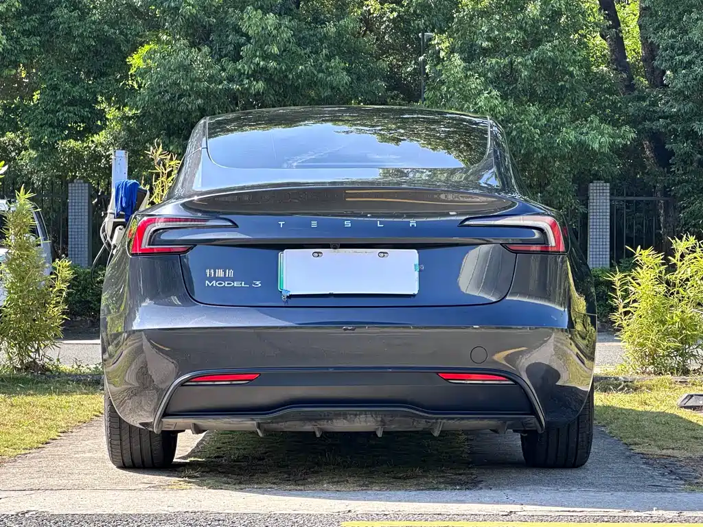 Tesla Model 3 — миниатюра 5