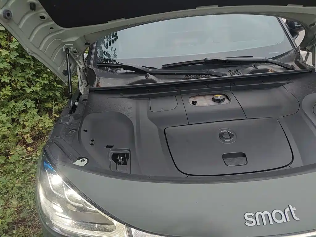 smart Smart #1 — миниатюра 21