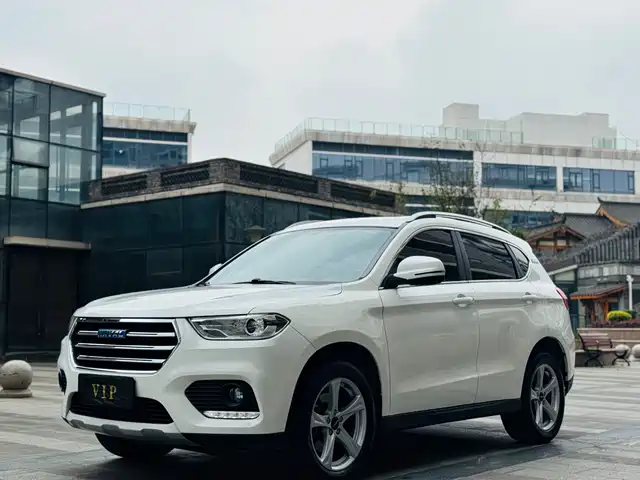 2019 Haval H2