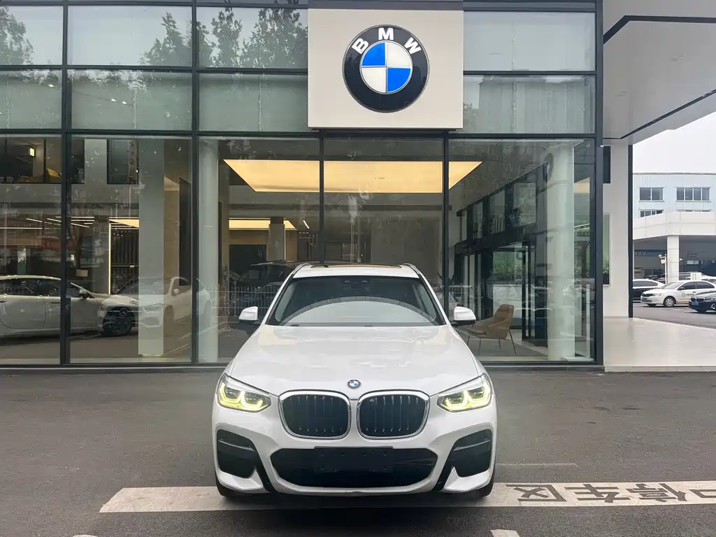 BMW X3 — миниатюра 2