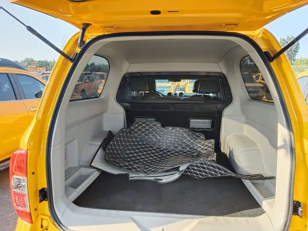 Dongfeng Rich 6 New Energy — миниатюра 19