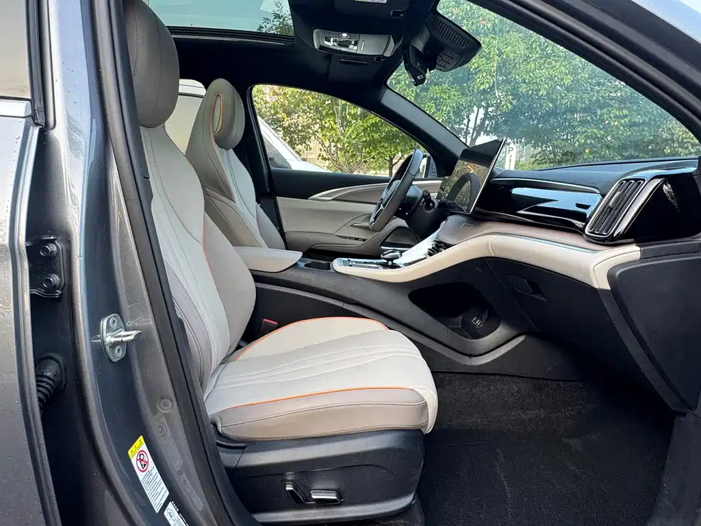 BYD Pro New Energy — миниатюра 14