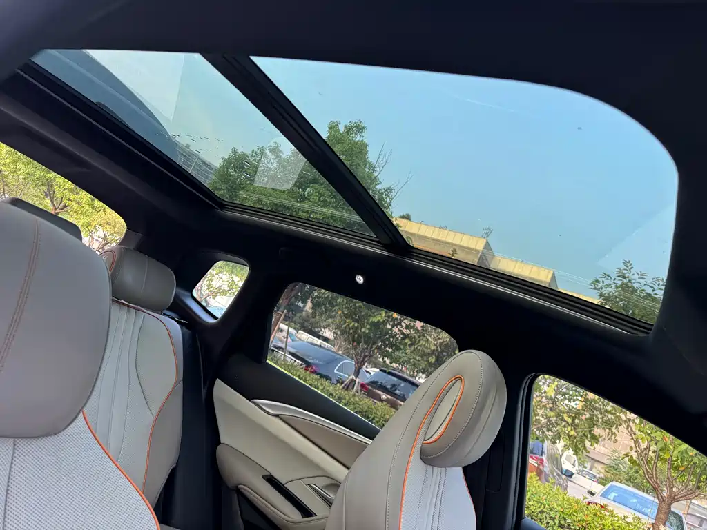 BYD Pro New Energy — миниатюра 17