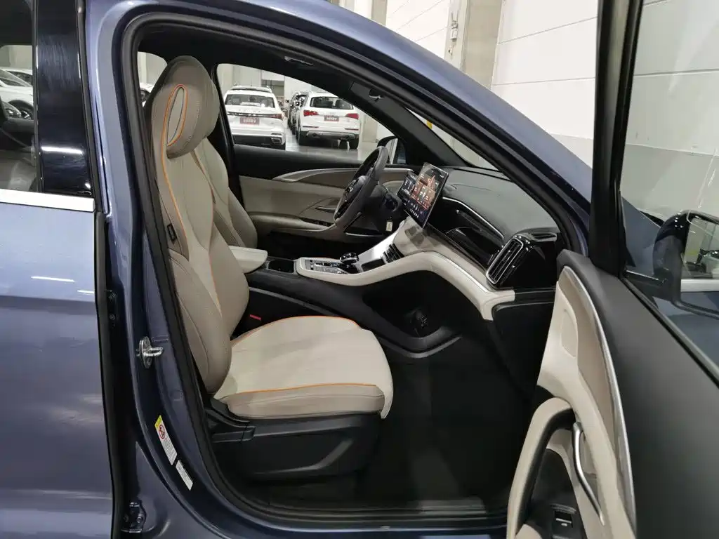 BYD Pro New Energy — миниатюра 23