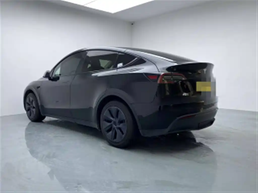 Tesla Model Y — миниатюра 13