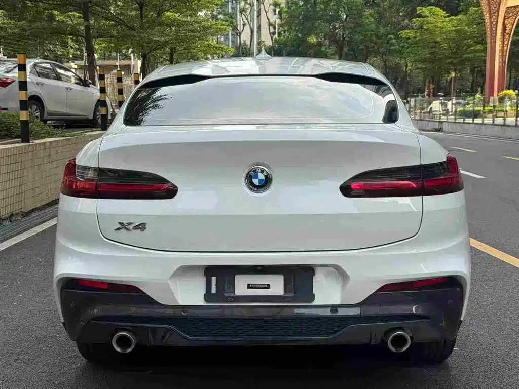 BMW X4 — миниатюра 5