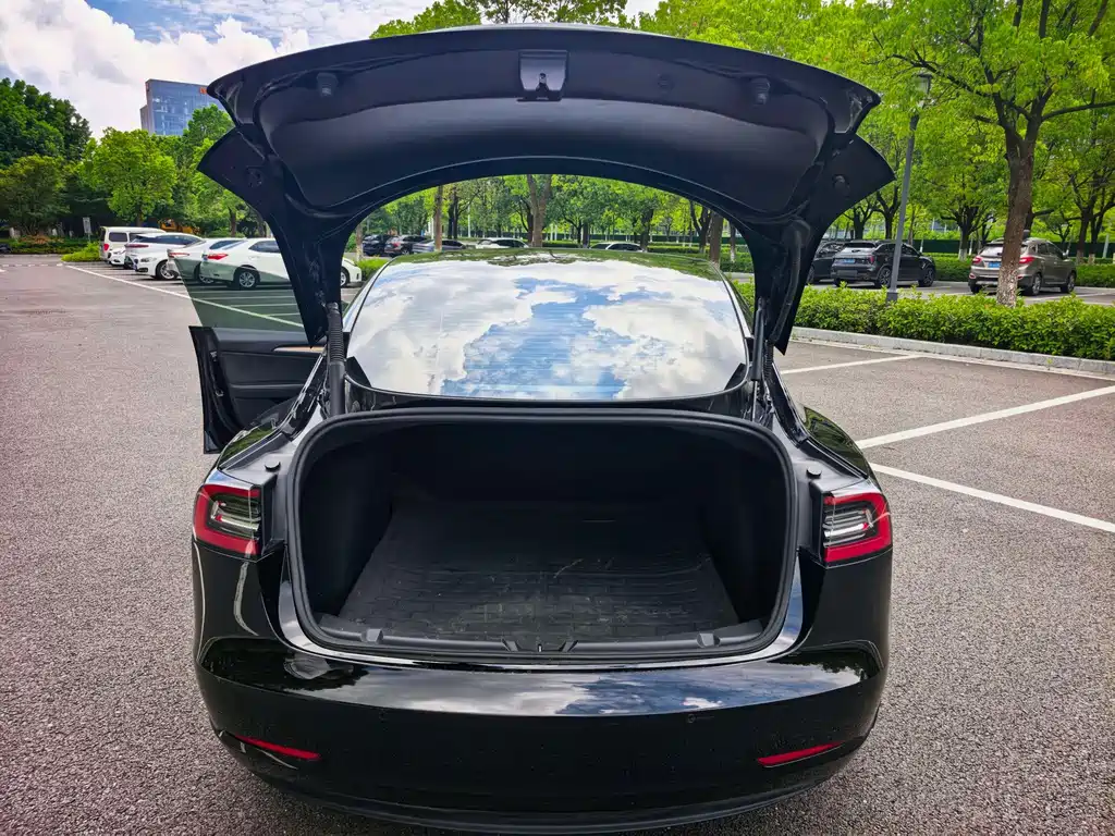 Tesla Model 3 — миниатюра 17