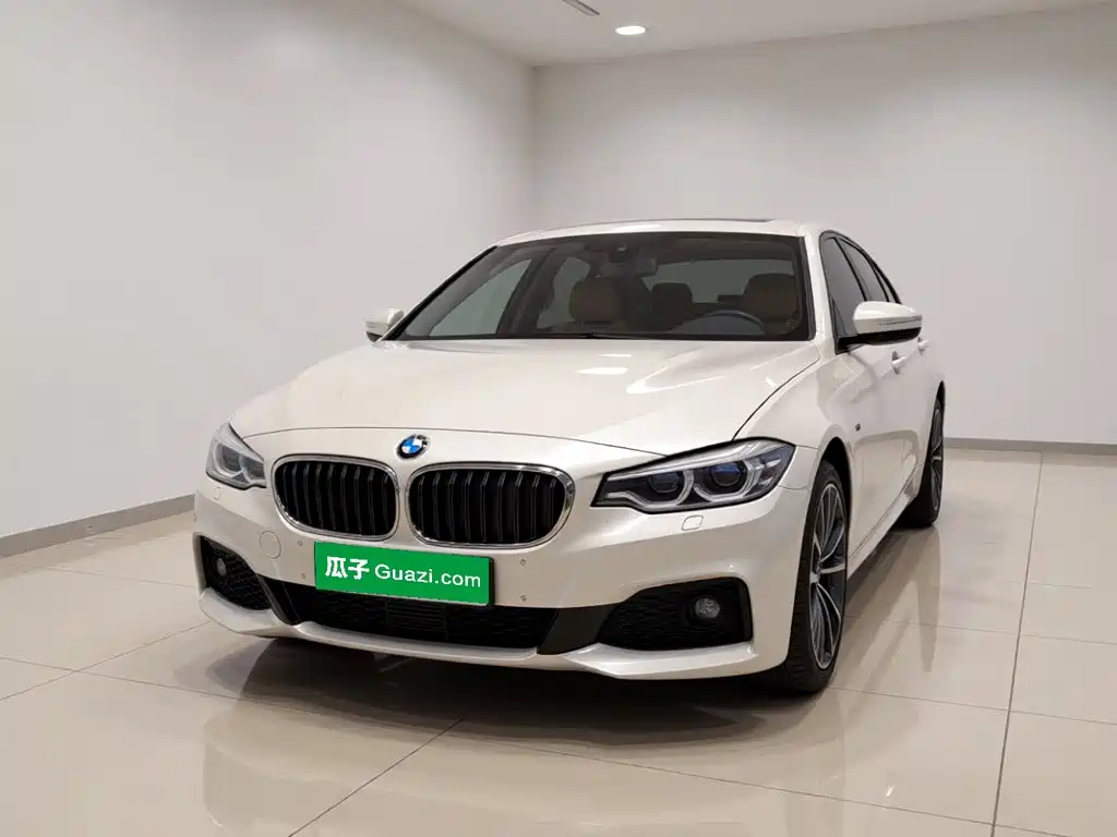 BMW 5 Series New Energy — миниатюра 5