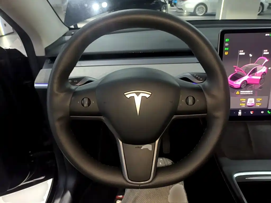 Tesla Model Y — миниатюра 11