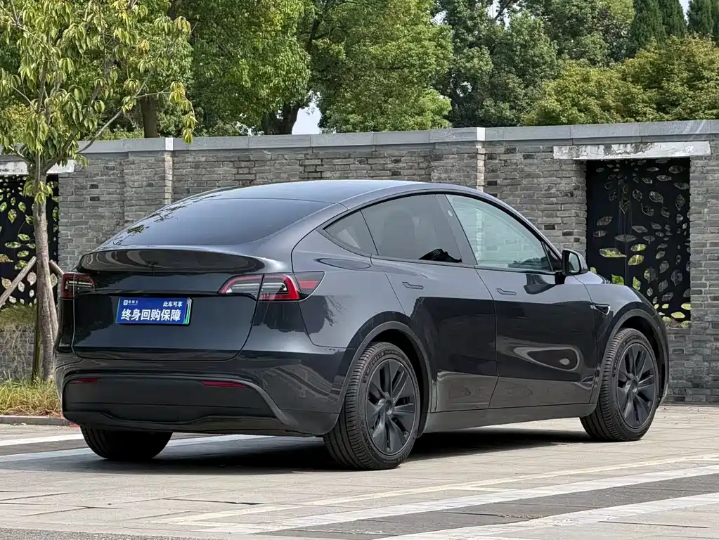 Tesla Model Y — миниатюра 4