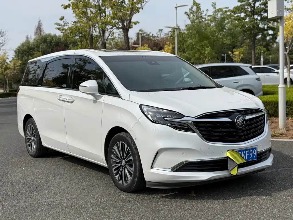 Buick GL8 — миниатюра 3