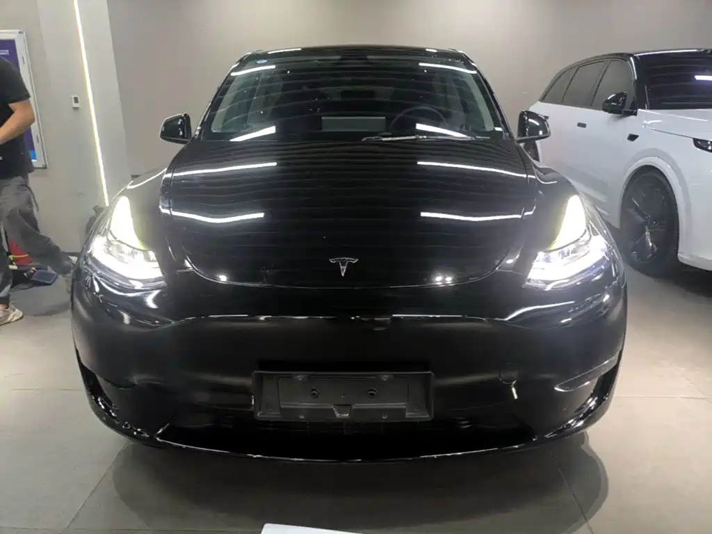 Tesla Model Y — миниатюра 3