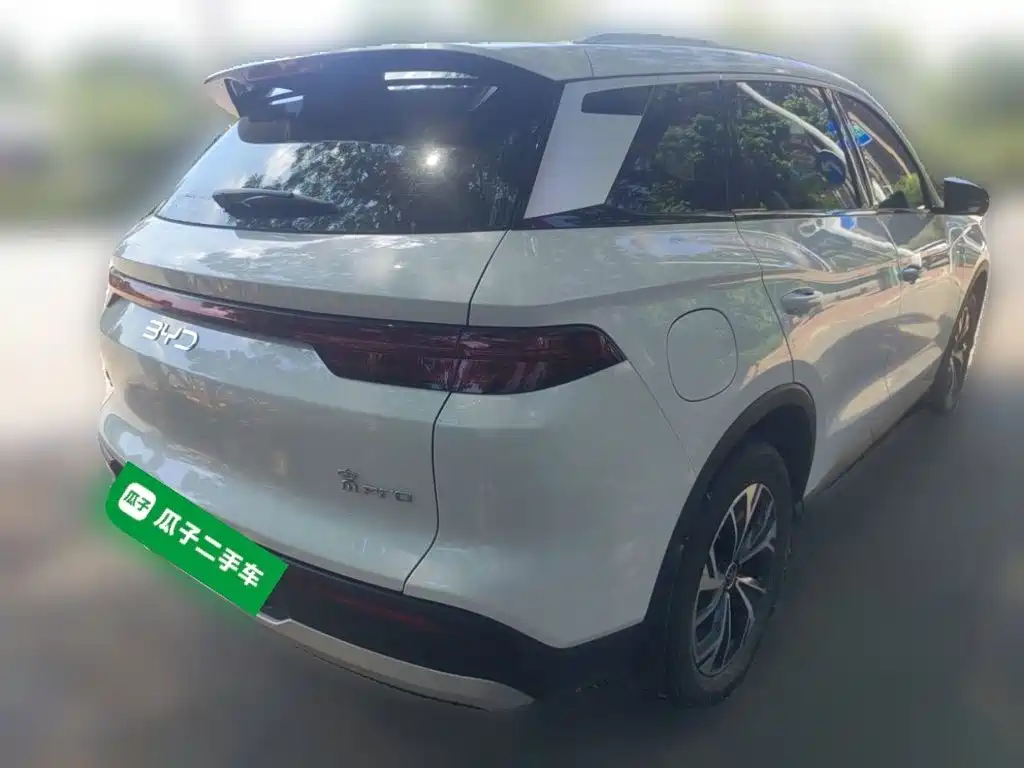 BYD Pro New Energy — миниатюра 4
