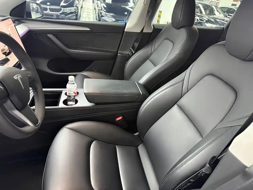 Tesla Model Y — миниатюра 8