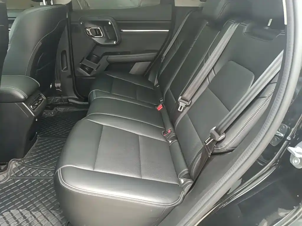Haval Big Dog PLUS — миниатюра 17