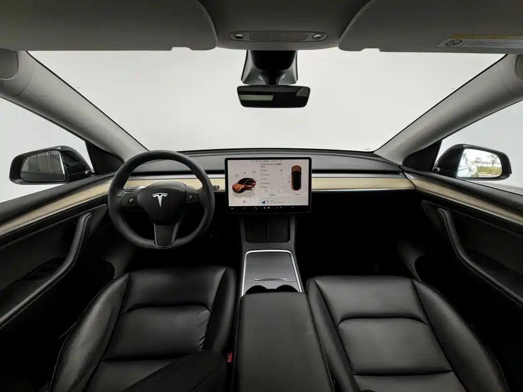Tesla Model Y — миниатюра 5