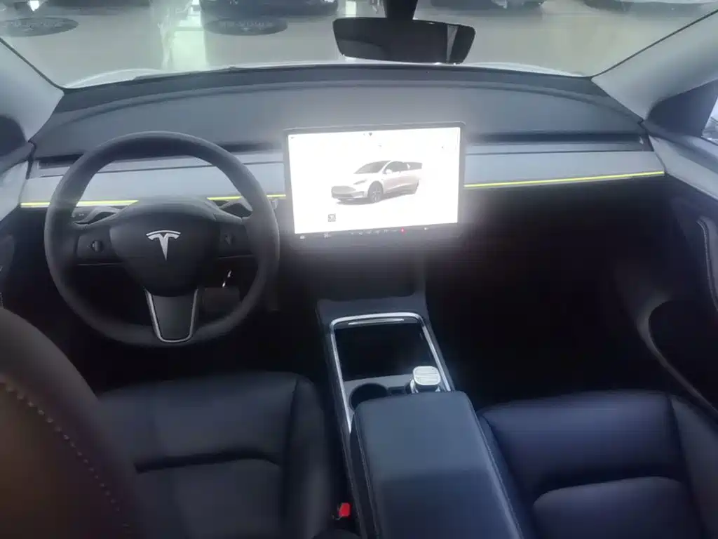 Tesla Model Y — миниатюра 10