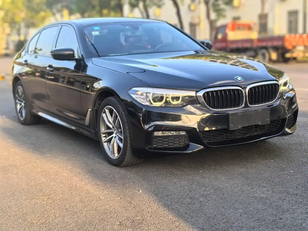 BMW 5 Series — миниатюра 3