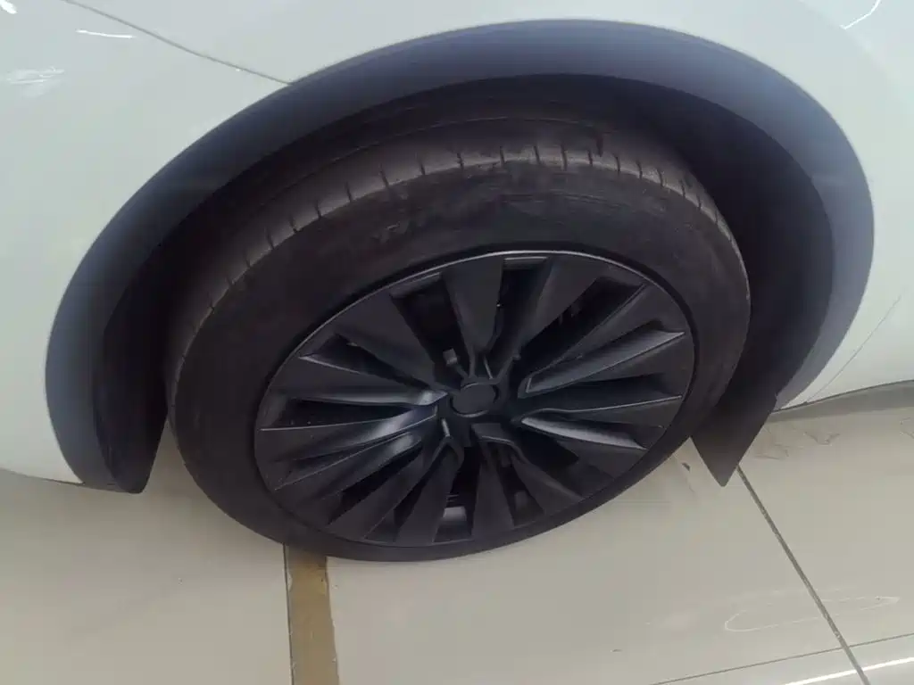 Tesla Model Y — миниатюра 23
